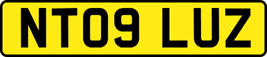 NT09LUZ