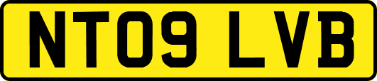 NT09LVB