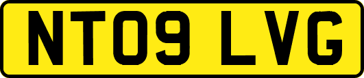 NT09LVG