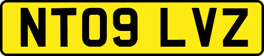 NT09LVZ