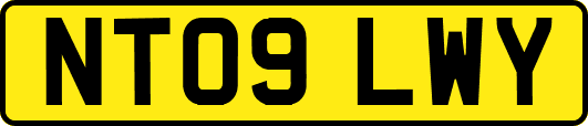 NT09LWY