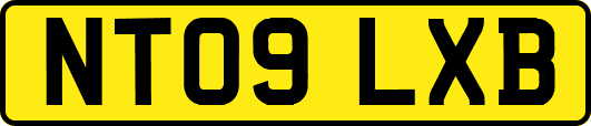 NT09LXB
