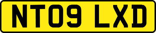 NT09LXD