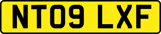 NT09LXF
