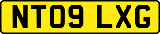 NT09LXG