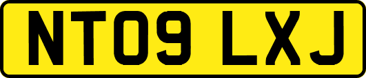 NT09LXJ