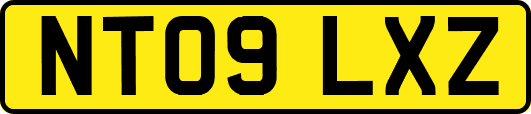 NT09LXZ
