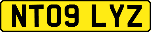 NT09LYZ