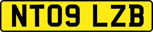 NT09LZB