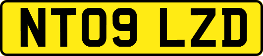 NT09LZD