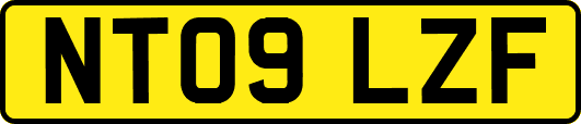 NT09LZF