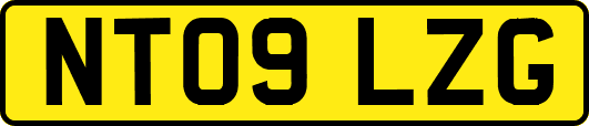 NT09LZG