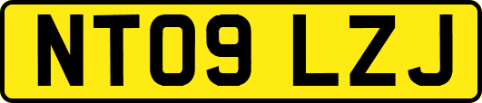 NT09LZJ