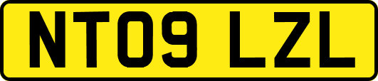 NT09LZL