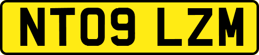 NT09LZM