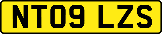 NT09LZS