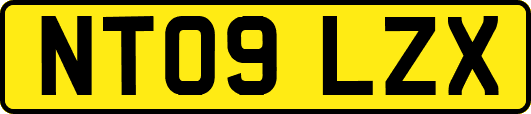 NT09LZX