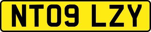 NT09LZY