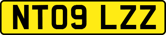 NT09LZZ