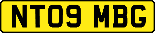 NT09MBG