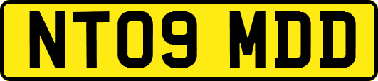 NT09MDD