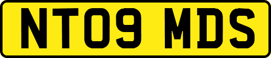NT09MDS