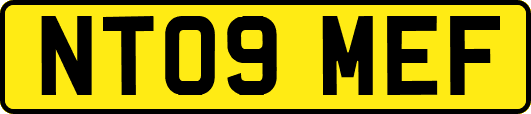 NT09MEF