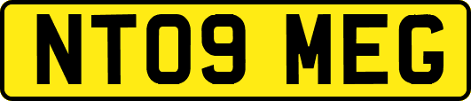 NT09MEG