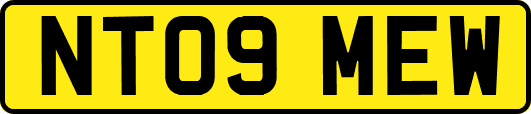 NT09MEW