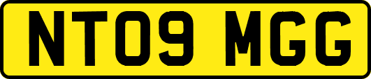 NT09MGG