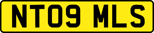 NT09MLS