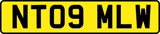NT09MLW