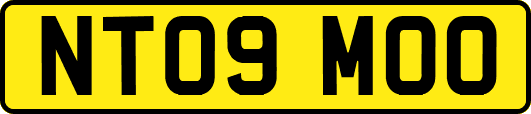 NT09MOO