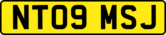 NT09MSJ