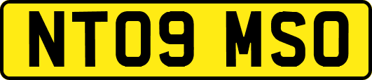 NT09MSO