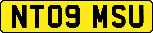 NT09MSU