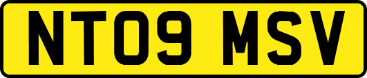 NT09MSV