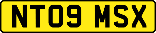 NT09MSX