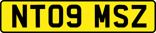 NT09MSZ