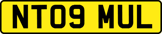 NT09MUL