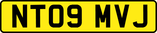 NT09MVJ