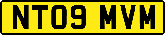 NT09MVM