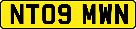 NT09MWN