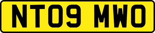 NT09MWO