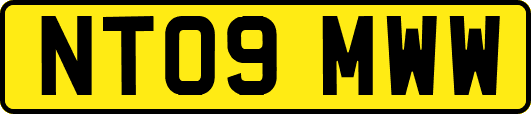 NT09MWW