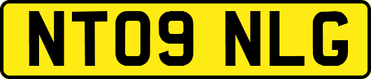 NT09NLG
