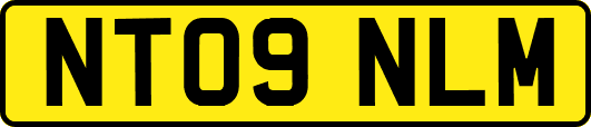 NT09NLM