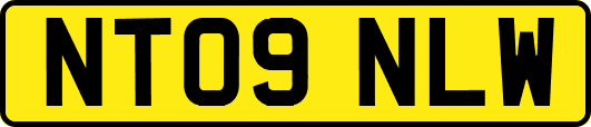 NT09NLW