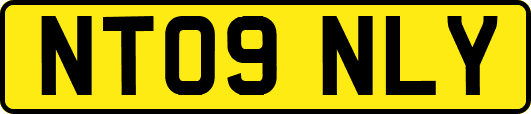 NT09NLY