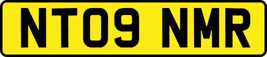 NT09NMR